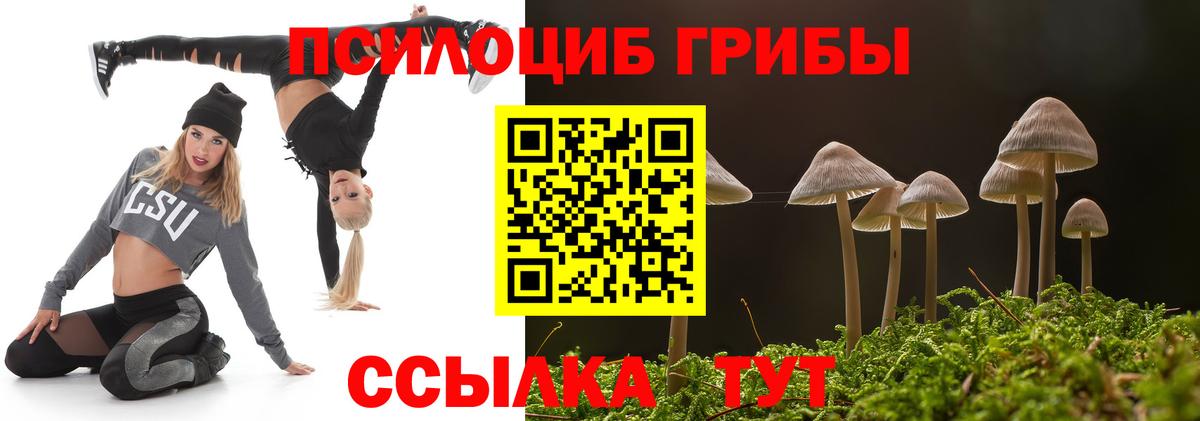 Псилоцибиновые грибы ЛСД  Вход с VPN  Анжеро-Судженск  Псилоцибиновые грибы ЛСД 